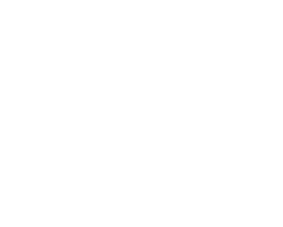 FineArts canon