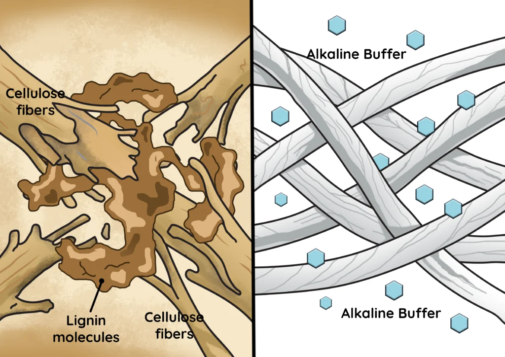lignin free